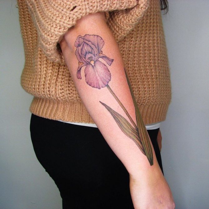 Tatuagem do significado de lírio no braço da rapariga