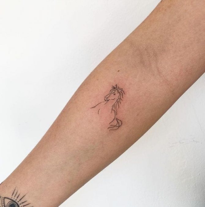 татуировка на малко конче