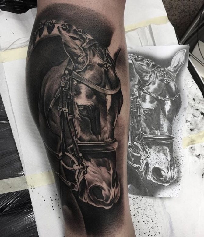 férfi ló tetoválás