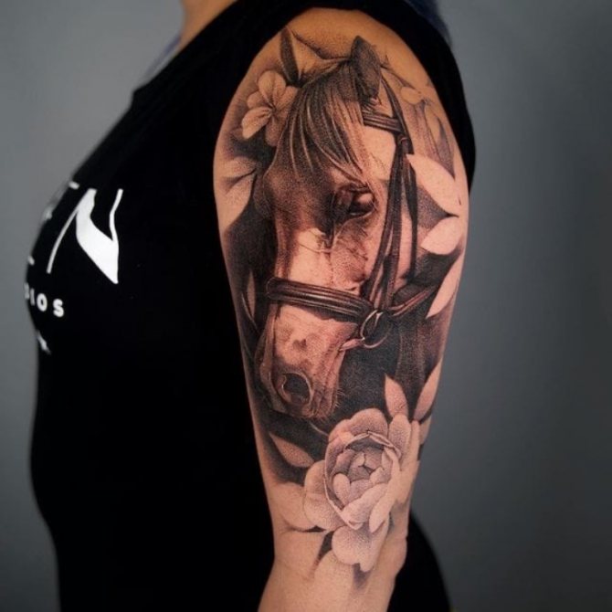 tetovanie koňa na ramene