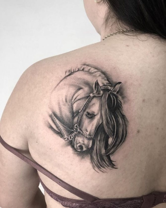 татуировка на кон на гърба