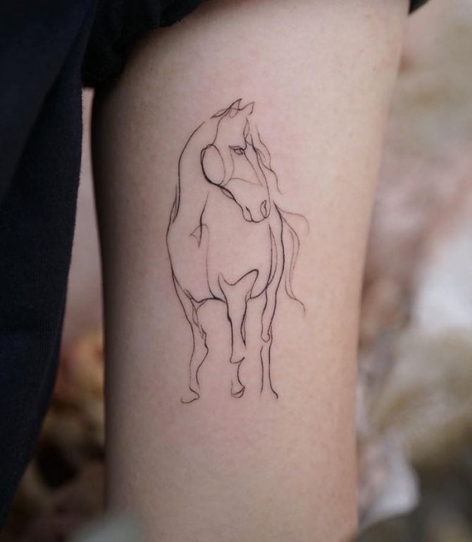 pomen tetovaže konja