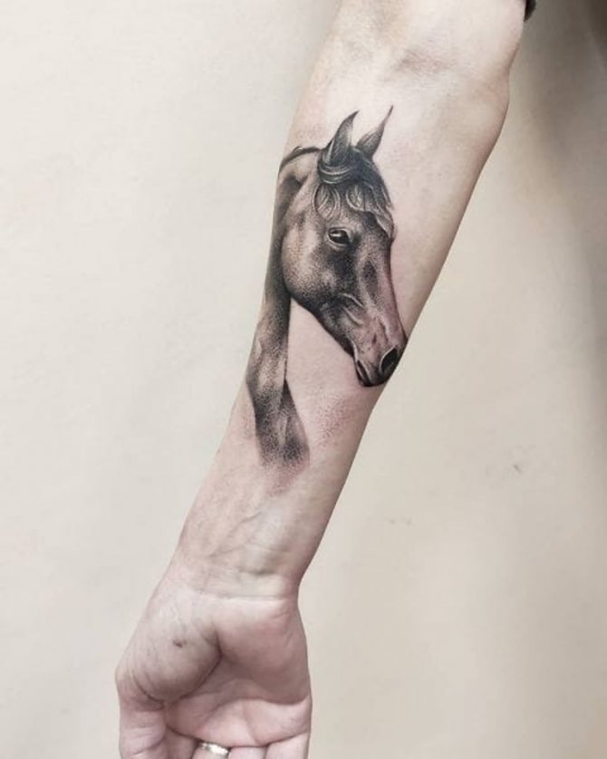 tetovanie koňa na ruke