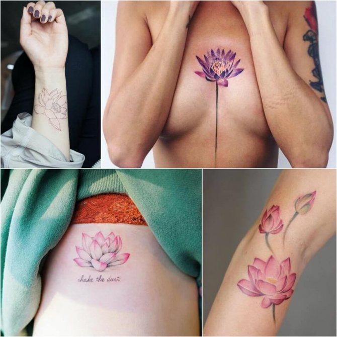 Lotus tatovering - Betydning og symbolik af Lotus tatovering