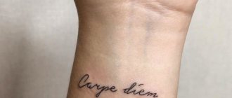Tattoo Seize the moment in Latin (carpe diem). Sketch, photo, meaning.