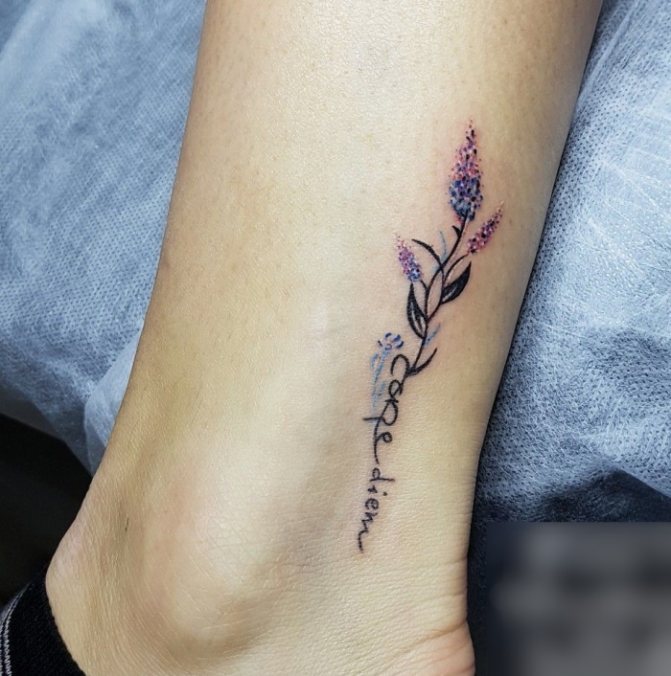 Tatuaggio Cogli l'attimo in latino (carpe diem). Schizzo, foto, significato