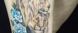 Tatuiruotė liūtė mergaitėms. Reikšmė, nuotrauka ant rankos, kojos, nugaros, klubo, peties, riešo, mentės