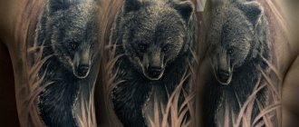 мечка за татуировки