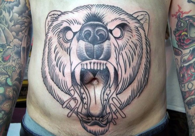 Tetovanie medveďa na mužskom bruchu
