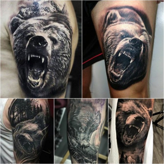 Bear Tattoo - Bear Realism Tattoo - Bear Realism Tattoo