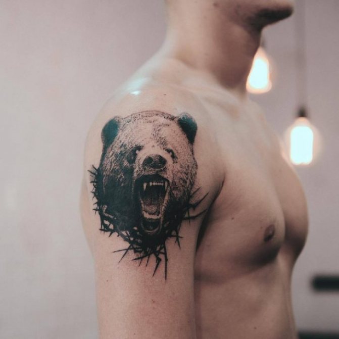 Мечка за татуировки - Мечка за татуировки - Значение на мечка за татуировки