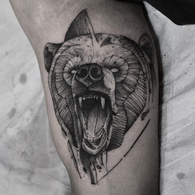 熊的纹身 - 熊的纹身 - 熊的纹身的含义