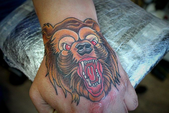 ursuleț tatoo