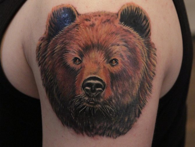 tatoveret bjørn