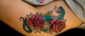 女孩臀部的纹身：素描，图案，铭文，小纹身，花，动物，龙，玫瑰。照片