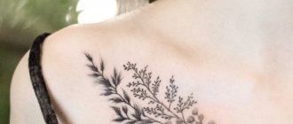 Tatuointi solisluuhun tytöille. Luonnoksia, naisten kalligrafiaa, kuvioita, lintuja, kukkia, tähtiä, tähtiä