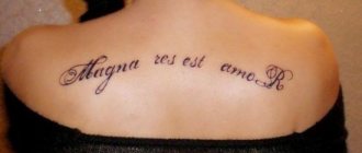 Tatuaggio in latino