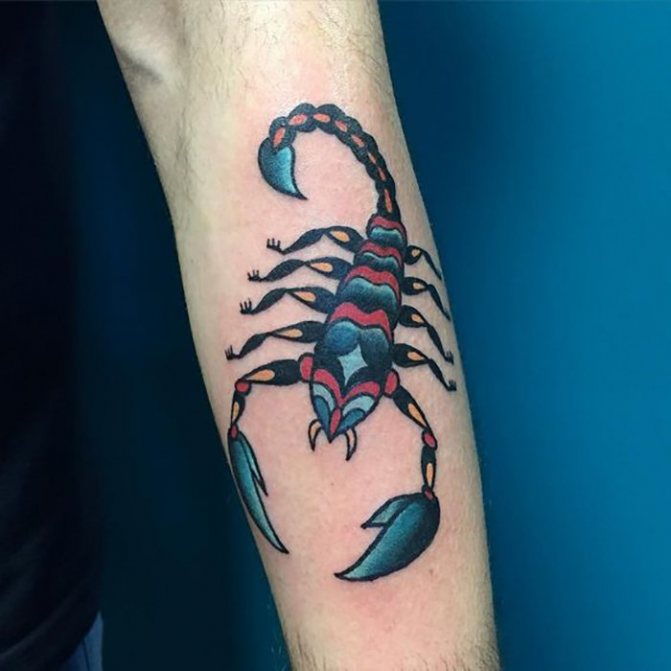 Kyynärvarren tatuointi skorpioni värillinen