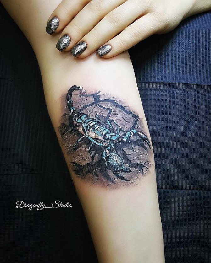 Skorpionin sininen tatuointi kyynärvarteen