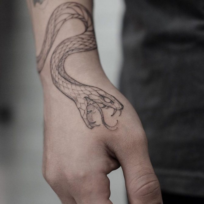 tatuiruotė ant rankos iš WUNDERKAMMER