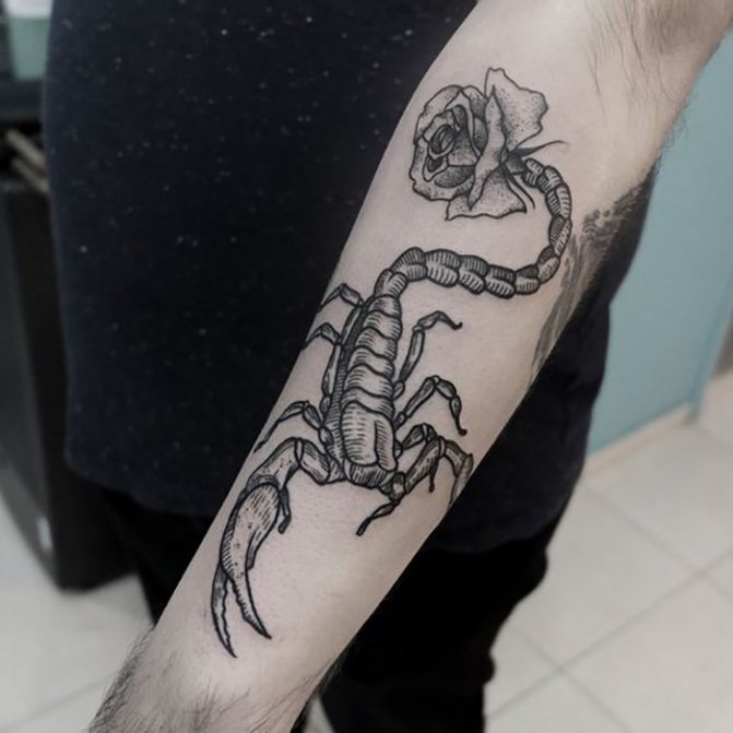 Tetovanie Škorpión s ružou na ruke