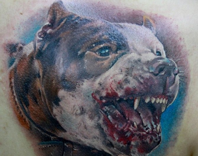 Tetoválás pitbull vigyor
