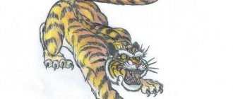 Значение на татуировката Tiger grin в затвора