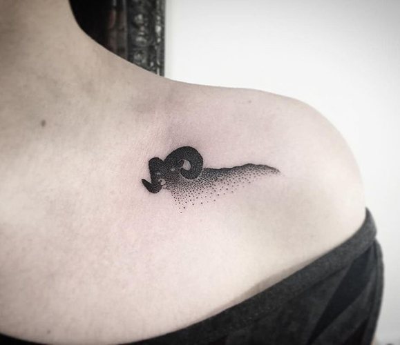 Tatuaj Aries pentru fete. Schițe, fotografie, valoare pe braț, gât, picior, claviculă, spate, abdomen
