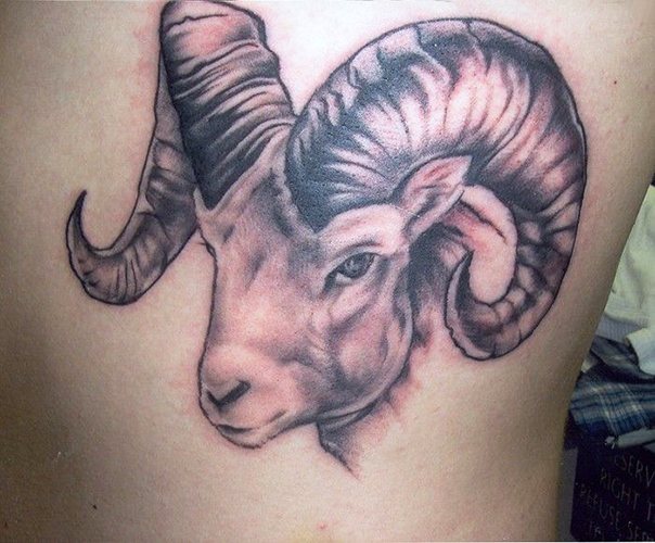 女孩的白羊座纹身。素描、照片，手臂、脖子、腿、锁骨、背部、腹部的价值