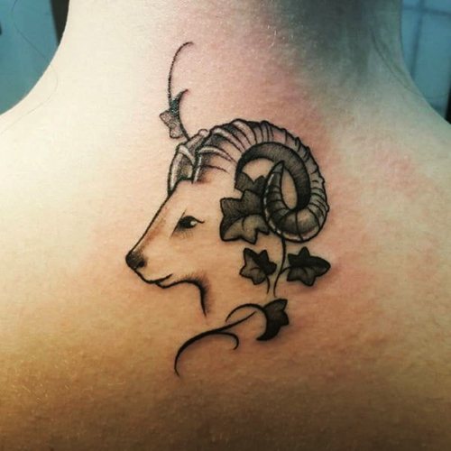 女孩的公羊纹身。草图、照片，手臂、脖子、腿、锁骨、背部、腹部的价值