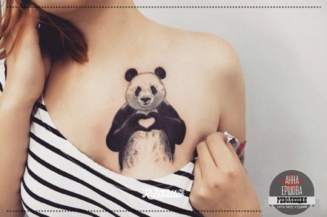 bryst panda tatovering