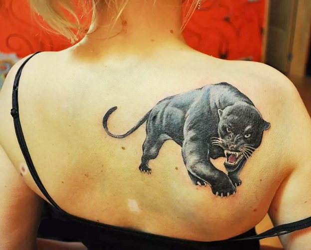 女孩的豹子纹身。意思是，照片，在手臂、腿、肩膀、背部、腰部