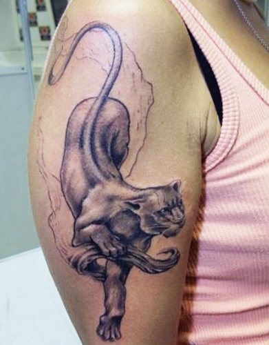 女孩的豹子纹身。意思是，照片，在手臂、腿、肩膀、背部、腰部