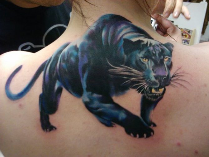 panther tattoo realizem na hrbtu