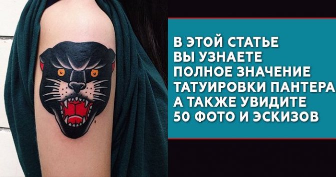 Panter tatovering betydning