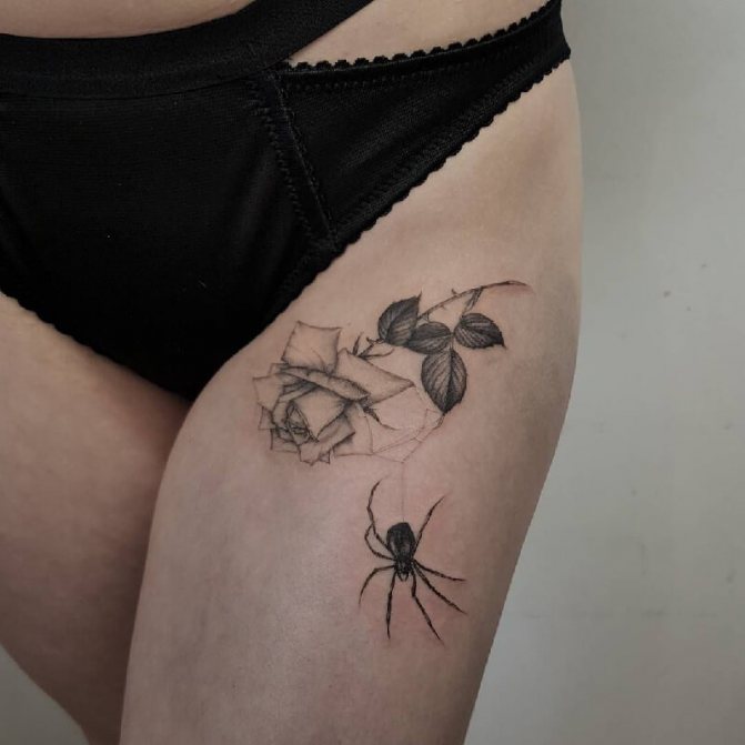 tatovering af en edderkop - tatovering af en edderkop - betydning af tatovering af en edderkop - tatovering af en edderkop skitser - tatovering af en edderkop foto