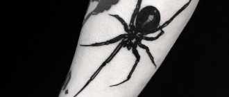 татуировка на паяк - татуировка на паяк - значение на татуировка на паяк - скици на татуировка на паяк - снимка на татуировка на паяк
