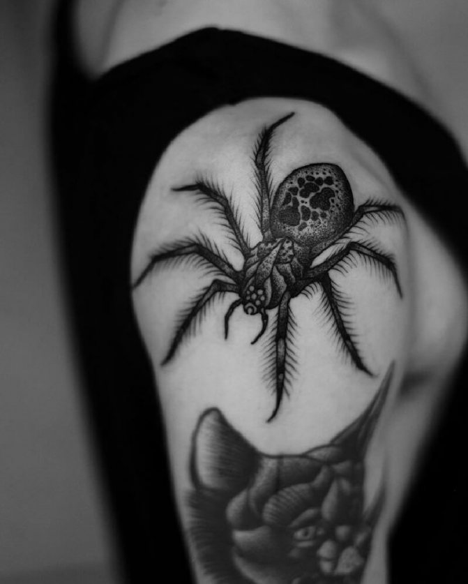 tatuaj de un păianjen - tatuaj de un păianjen - semnificația de tatuaj de un păianjen - tatuaj de un păianjen schițe - tatuaj de un păianjen foto