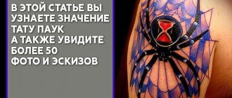 Значение на татуировката Spider