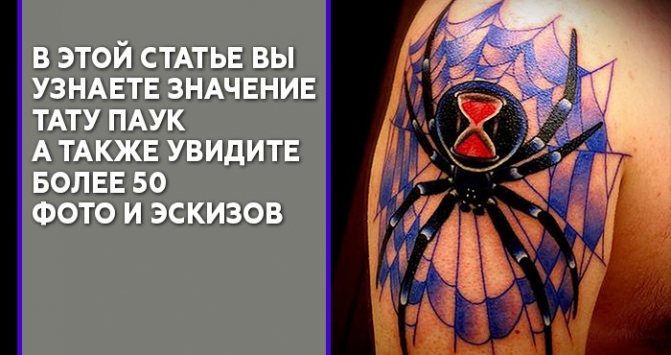 Význam tetovania pavúka