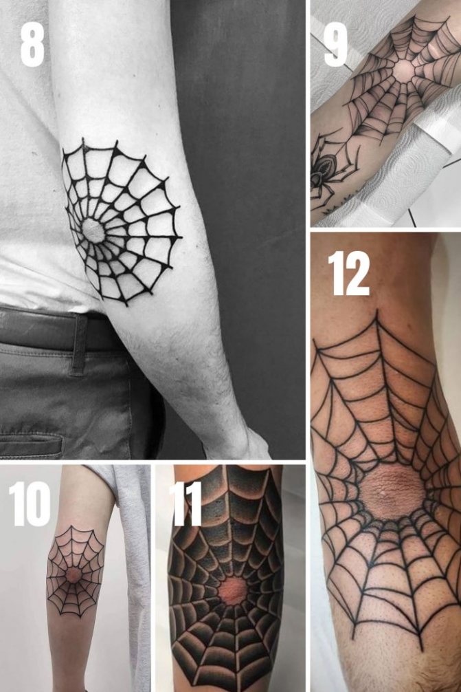 Tatuiruotės voratinklis ant alkūnės. Reikšmė, eskizai, nuotraukos