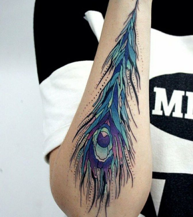 Tatuointi höyhen - Tatuointi höyhen - Tatuointi riikinkukon höyhenestä - Tattoo of a peacock feather