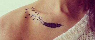 Tatuagem de uma pena - significado numa menina com uma palavra, pássaros, pavão numa perna, braço, pulso, estômago, pescoço, costas, clavícula, de lado