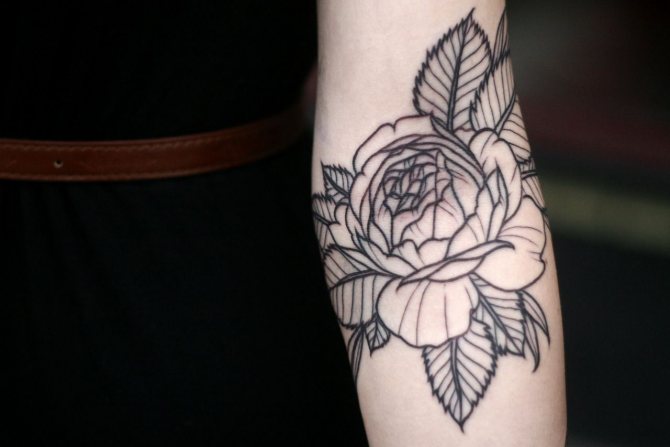 tetovanie pivoniek na ruke
