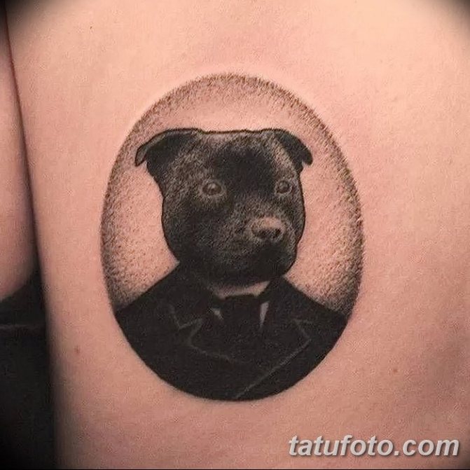 tatuaggio pit bull dotwork sul lato