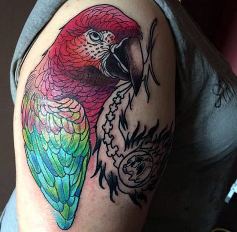 Tatuagem de papagaio para raparigas