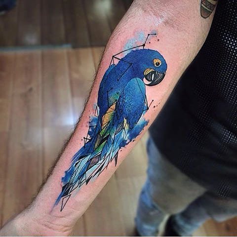 Papagal tatuaj - fotografie