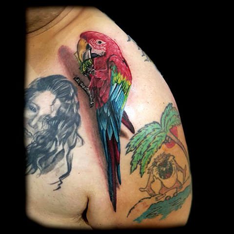 Tattoo of parrot on his shoulder