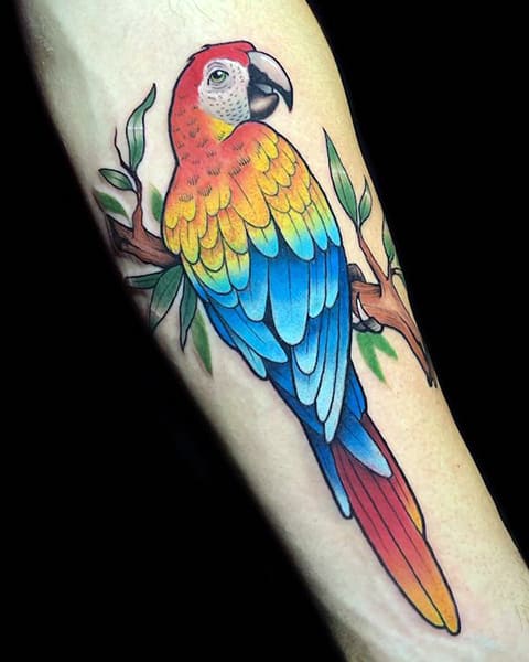 Tatovering af papegøje på underarm