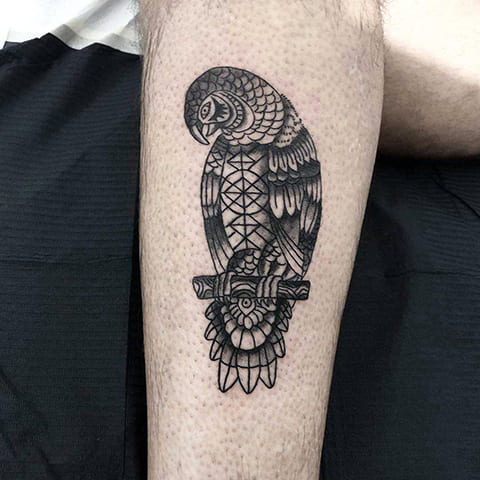 Tatuagem do papagaio no antebraço